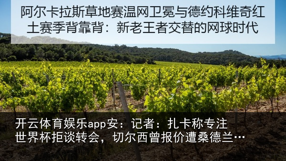 开云体育娱乐app安：记者相关情况拒谈相关情况遭桑德兰拒绝