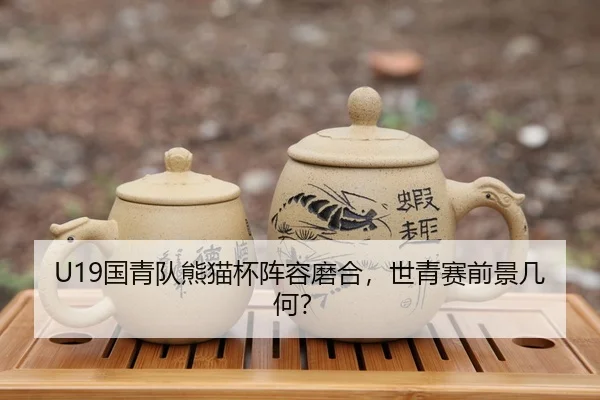 U19国青队熊猫杯阵容磨合，世青赛前景几何？