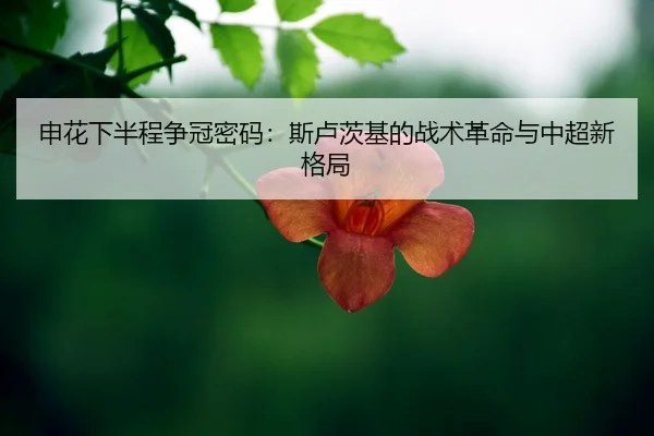shen-hua-xia-ban-cheng-zheng-guan-mi-ma-si-lu-ci-ji-de-zhan-shu-ge-ming-yu-zhong-chao-xin-ge-ju-2-539.jpg