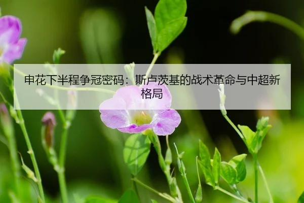 shen-hua-xia-ban-cheng-zheng-guan-mi-ma-si-lu-ci-ji-de-zhan-shu-ge-ming-yu-zhong-chao-xin-ge-ju-3-198.jpg