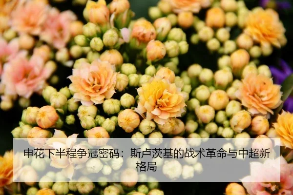 申花下半程争冠密码：斯卢茨基的战术革命与中超新格局