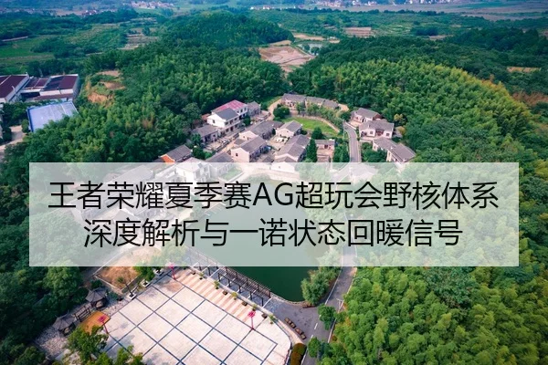 王者荣耀夏季赛AG超玩会野核体系深度解析与一诺状态回暖信号