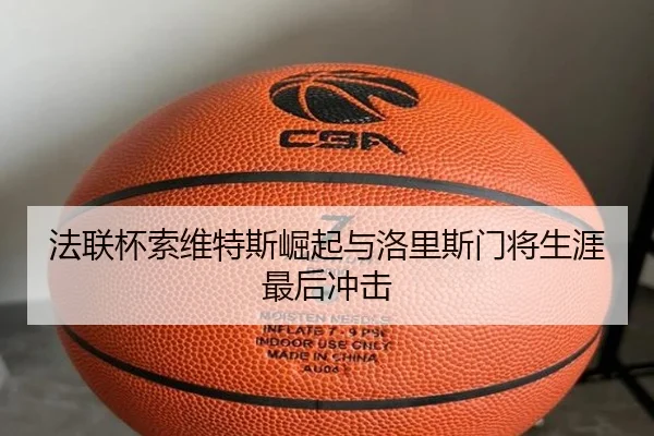 法联杯索维特斯崛起与洛里斯门将生涯最后冲击
