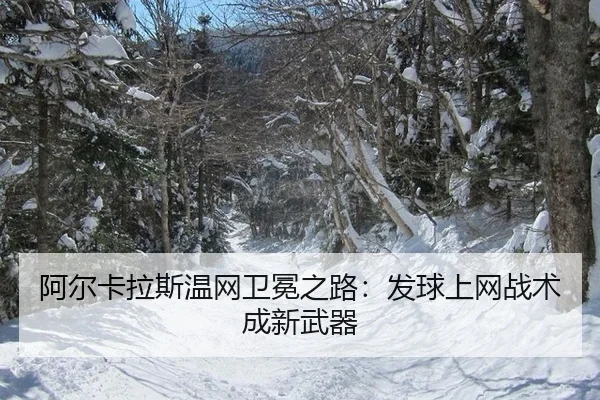 阿尔卡拉斯温网卫冕之路：发球上网战术成新武器
