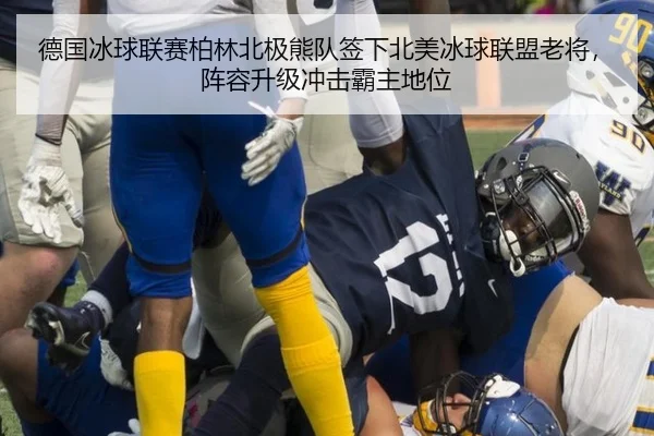 德国冰球联赛柏林北极熊队签下北美冰球联盟老将，阵容升级冲击霸主地位